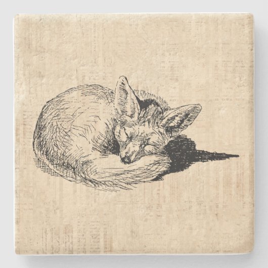 Sleeping Fox geïllustreerd Art Cute  Animal Stenen Onderzetter (Voorkant)