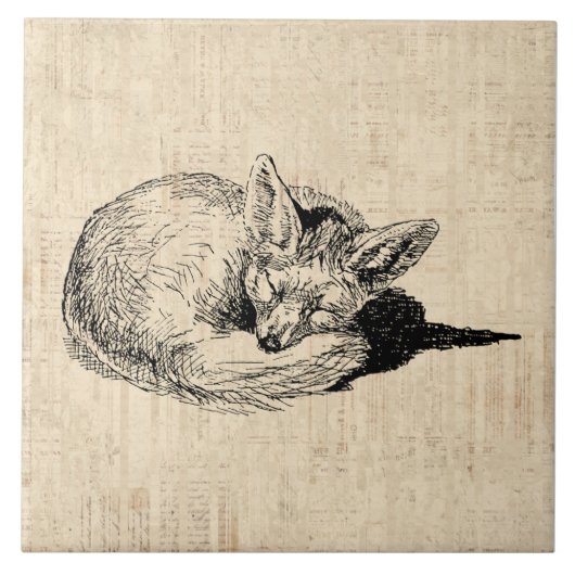 Sleeping Fox geïllustreerd Art Cute  Animal Tegeltje (Voorkant)