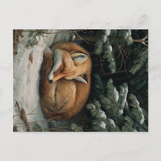 Sleeping Fox in Winter Forest Briefkaart (Voorkant)