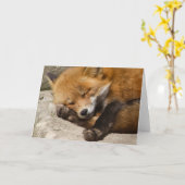Sleeping Fox Notecard Kaart (Gele Bloem)
