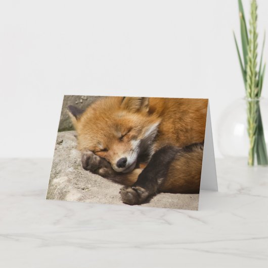 Sleeping Fox Notecard Kaart (Voorkant)