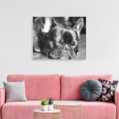 Sleeping French Bulldog Canvas Afdruk (Insitu (Woonkamer))