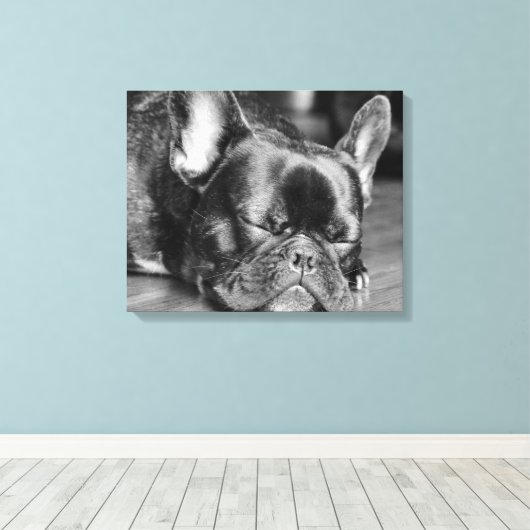 Sleeping French Bulldog Canvas Afdruk (Insitu (Houten vloer))