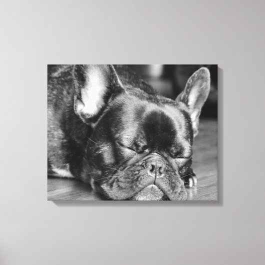 Sleeping French Bulldog Canvas Afdruk (Voorkant)