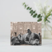 Sleeping French Bulldogs Briefkaart (Staand voorkant)