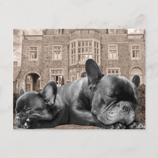 Sleeping French Bulldogs Briefkaart