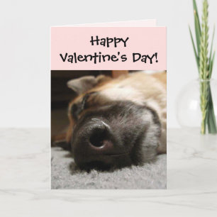 Sleeping German Shepherd Valentijnsdag Card Feestdagen Kaart