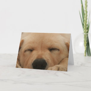 Sleeping Golden Retriever Wenskaart Kaart