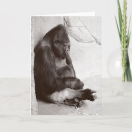 Sleeping Gorilla-foto Kaart