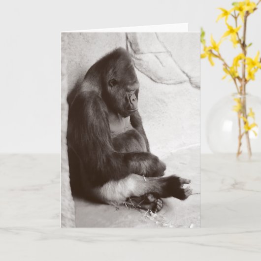 Sleeping Gorilla-foto Kaart (Gele Bloem)