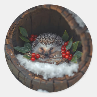 Sleeping hedgehog Christmas fun Ronde Sticker