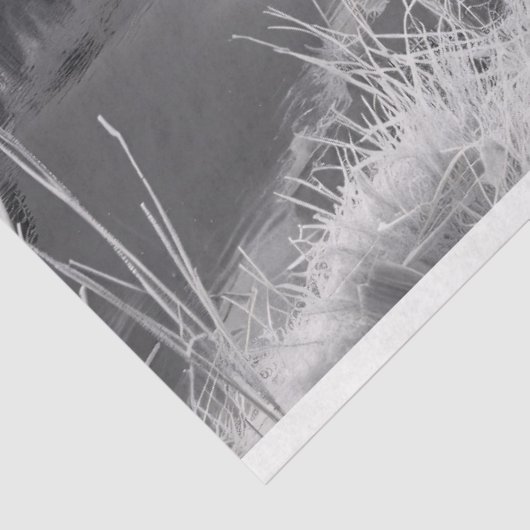 Sleeping Highland Koe zwart-wit decoupage Tissuepapier (Detail)