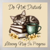 Sleeping Kat Kostbaar Kat Poster (Voorkant)