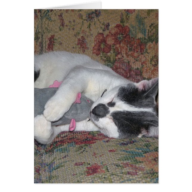 Sleeping Kitten (Voorkant)