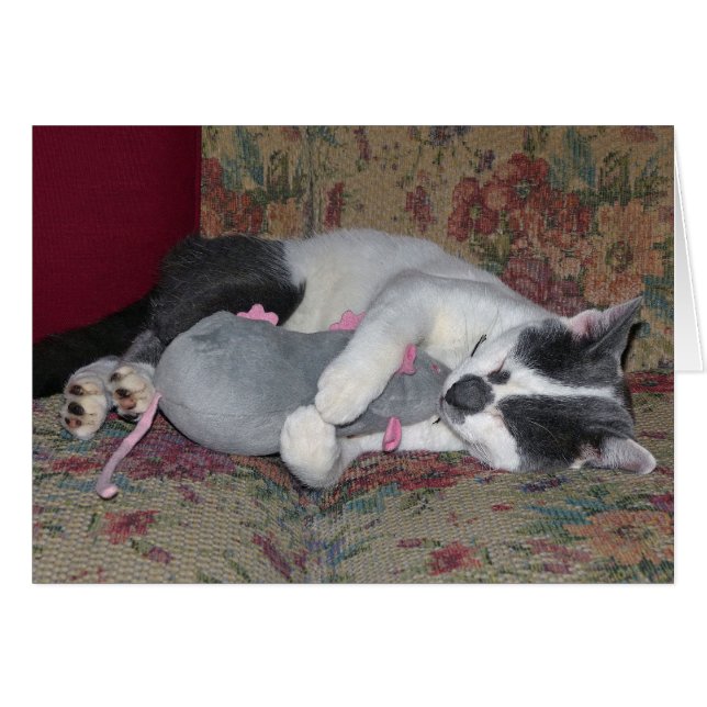 Sleeping Kitten (Voorkant Horizontaal)