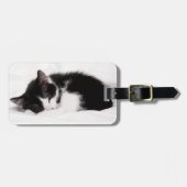 Sleeping Kitten Bagagelabel (Voorkant horizontaal)