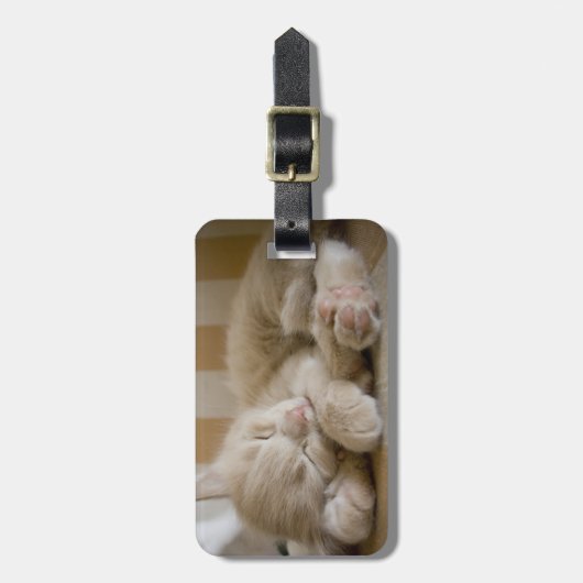 Sleeping Kitten Bagagelabel (Voorkant verticaal)