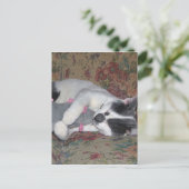 Sleeping Kitten Briefkaart (Staand voorkant)