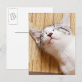 Sleeping Kitten Briefkaart (Voorkant / Achterkant)