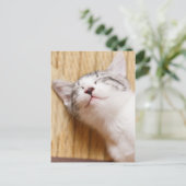 Sleeping Kitten Briefkaart (Staand voorkant)