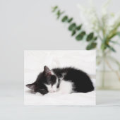 Sleeping Kitten Briefkaart (Staand voorkant)