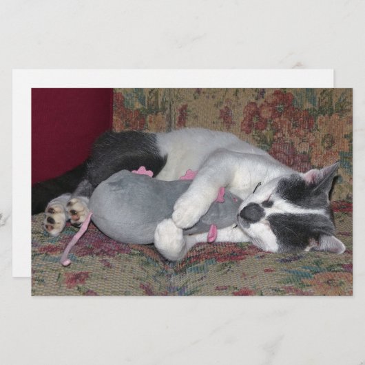 Sleeping Kitten Briefpapier (Voorkant / Achterkant)