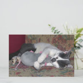 Sleeping Kitten Briefpapier (Staand voorkant)