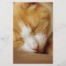 Sleeping Kitten Briefpapier
