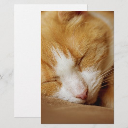 Sleeping Kitten Briefpapier (Voorkant / Achterkant)