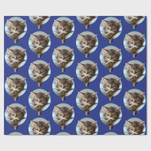 Sleeping Kitten Cadeaupapier (Vlak)