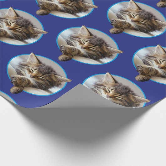 Sleeping Kitten Cadeaupapier (Hoek)