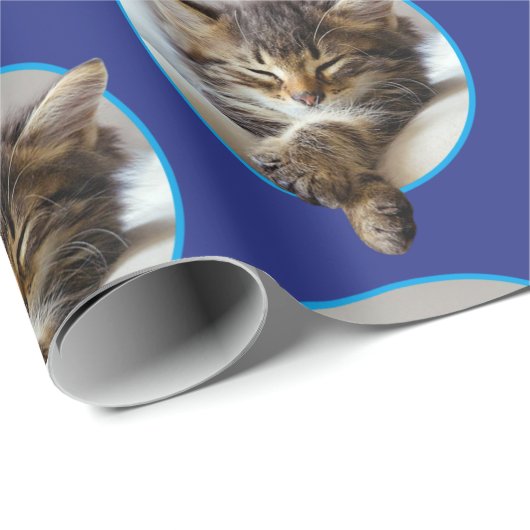 Sleeping Kitten Cadeaupapier (Rol Hoek)