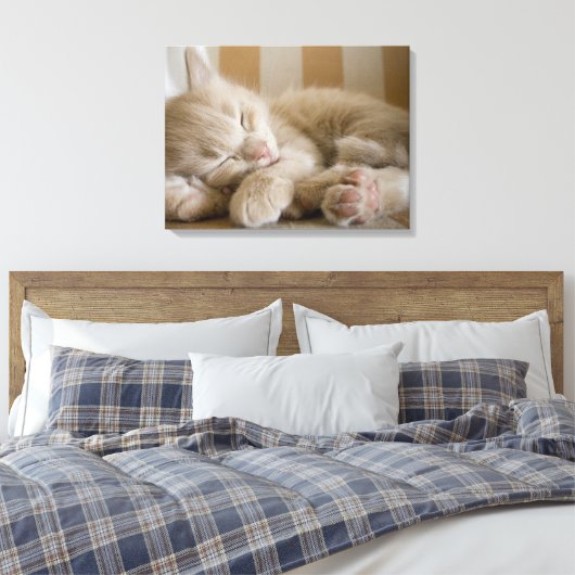 Sleeping Kitten Canvas Afdruk (Insitu (Slaapkamer))