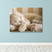 Sleeping Kitten Canvas Afdruk (Insitu (Houten vloer))