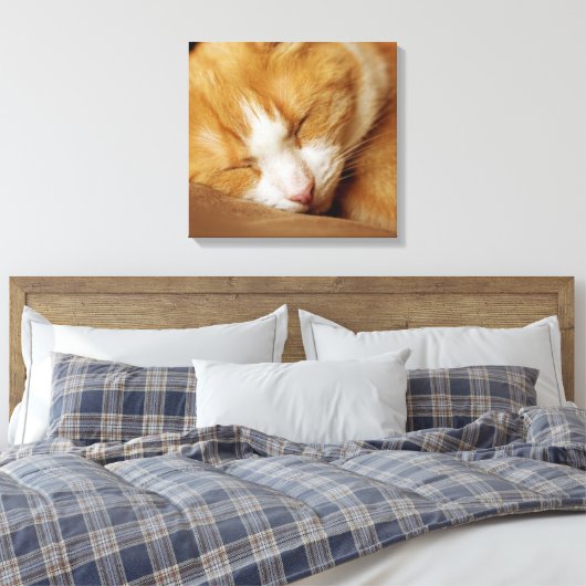 Sleeping Kitten Canvas Afdruk (Insitu (Slaapkamer))