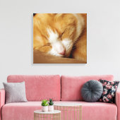 Sleeping Kitten Canvas Afdruk (Insitu (Woonkamer))
