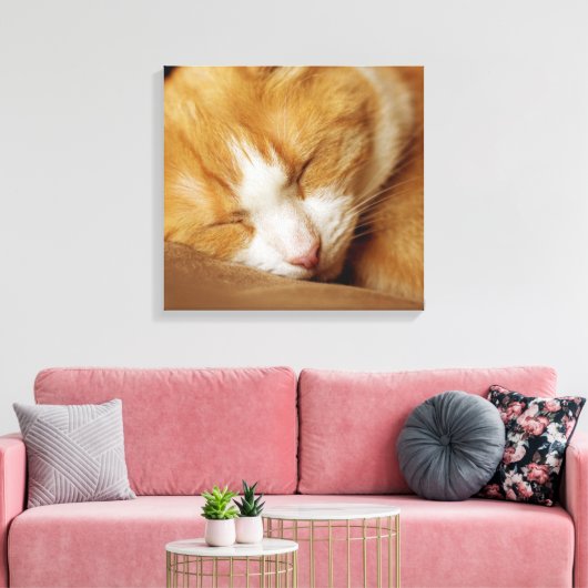 Sleeping Kitten Canvas Afdruk (Insitu (Woonkamer))