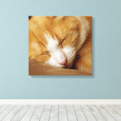 Sleeping Kitten Canvas Afdruk (Insitu (Houten vloer))