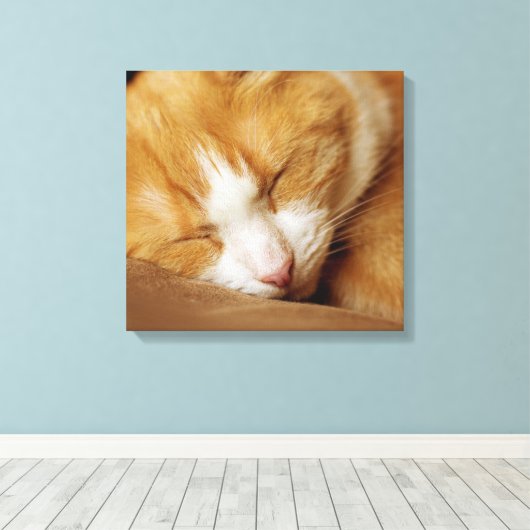 Sleeping Kitten Canvas Afdruk (Insitu (Houten vloer))