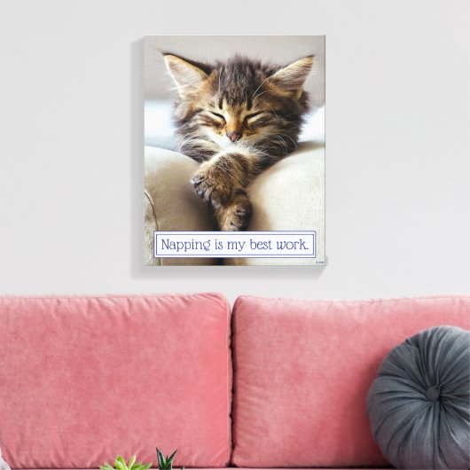 Sleeping Kitten Canvas Afdruk (Insitu (Woonkamer))