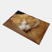 Sleeping Kitten Deurmat (Schuin)