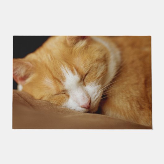 Sleeping Kitten Deurmat (Voorkant)