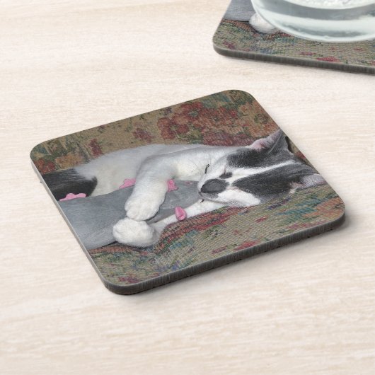 Sleeping Kitten Drankjes Onderzetter (Linkerzijde)