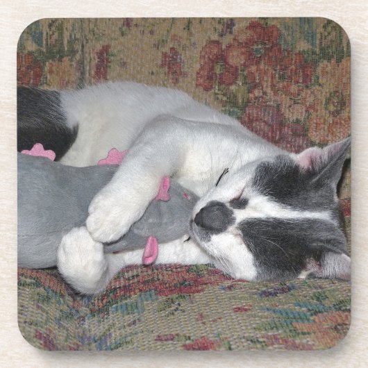 Sleeping Kitten Drankjes Onderzetter (Voorkant)