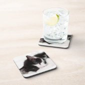 Sleeping Kitten Drankjes Onderzetter (Rechterzijde)
