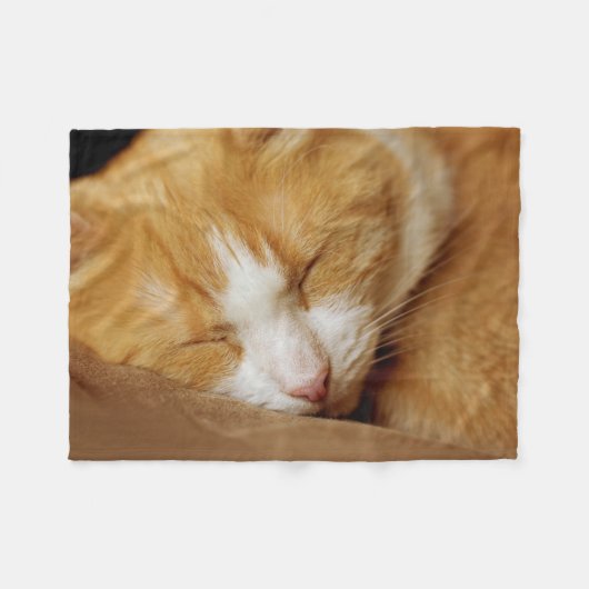Sleeping Kitten Fleece Deken (Voorkant (Horizontaal))