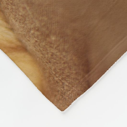 Sleeping Kitten Fleece Deken (Hoek)