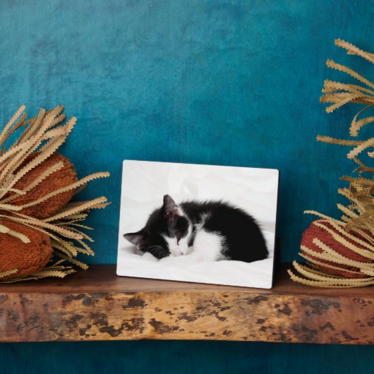 Sleeping Kitten Fotoplaat (Zijkant)