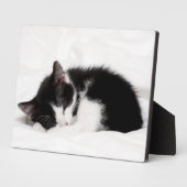 Sleeping Kitten Fotoplaat (Zijkant)