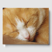 Sleeping Kitten Gastenboek (Voorkant)